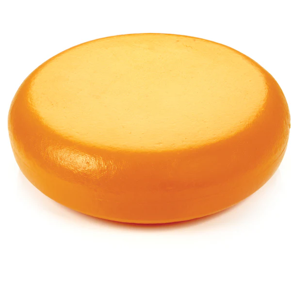 Kaasdummy Gouda 16 kg Donkergeel - Image 2
